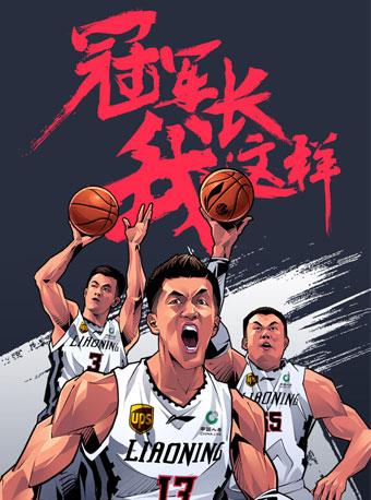 2018-2019赛季辽宁衡润飞豹男篮季后赛单场票