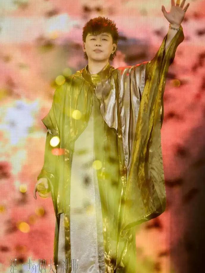 [强实名/代拍费]胡彦斌演唱会佛山站