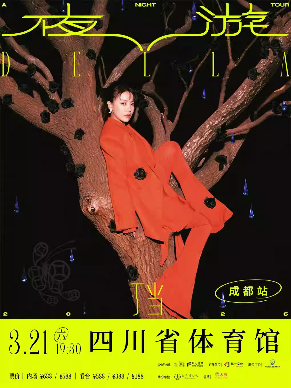 [买贵无忧]丁当演唱会