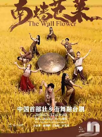 舞剧《南墙芭莱》温州站