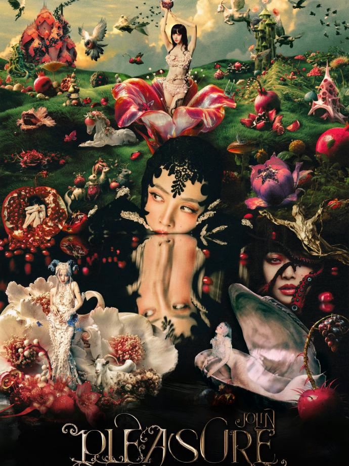 [代拍费]蔡依林演唱会南宁站