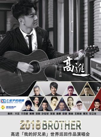 高进“我的好兄弟”世界巡回演唱会哈尔滨站