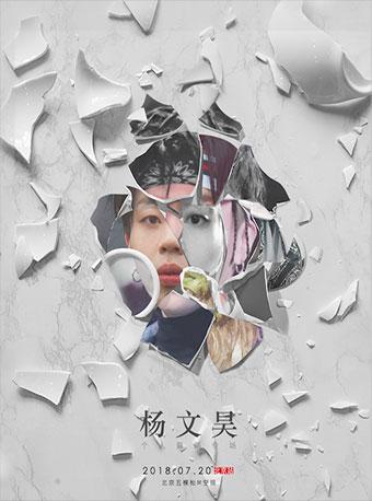 V&mdash;杨文昊个人舞蹈专场北京站