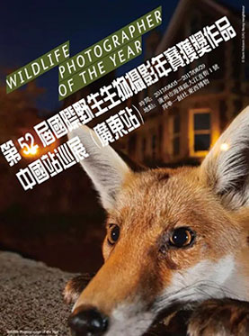 【票牛福利】&ldquo;野生动物摄影奥斯卡大奖&rdquo;中国巡回&bull;广东站互动探险展