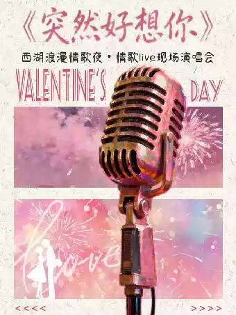 西湖浪漫情歌夜【突然好想你】吉他弹唱演唱会杭州站