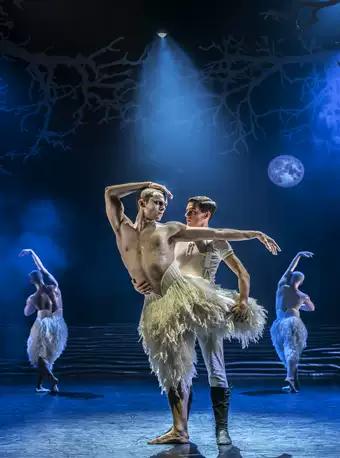 马修·伯恩-芭蕾舞剧男版《天鹅湖》