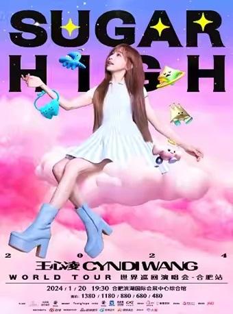 【合肥】【强实名代拍】2024王心凌 SUGAR HIGH 世界巡回演唱会