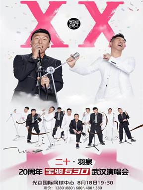 二十•羽泉20周年巡回演唱会武汉站