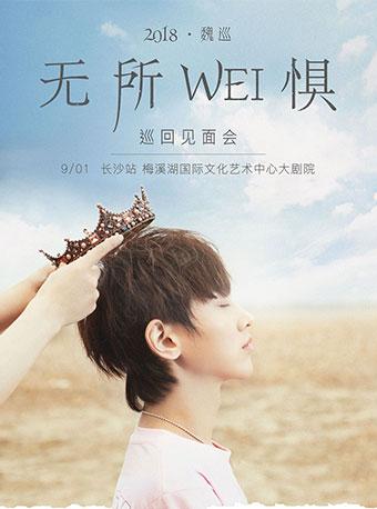 2018 魏巡 无所WEI惧 巡回见面会-长沙