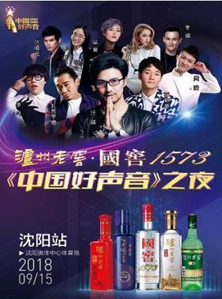 中国好声音之夜演唱会
