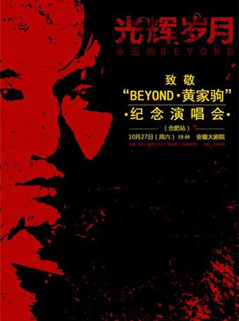 Q聚场 光辉岁月-致敬“BEYONG・黄家驹”演唱会