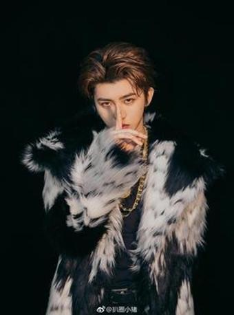 [代拍费]蔡徐坤演唱会上海站