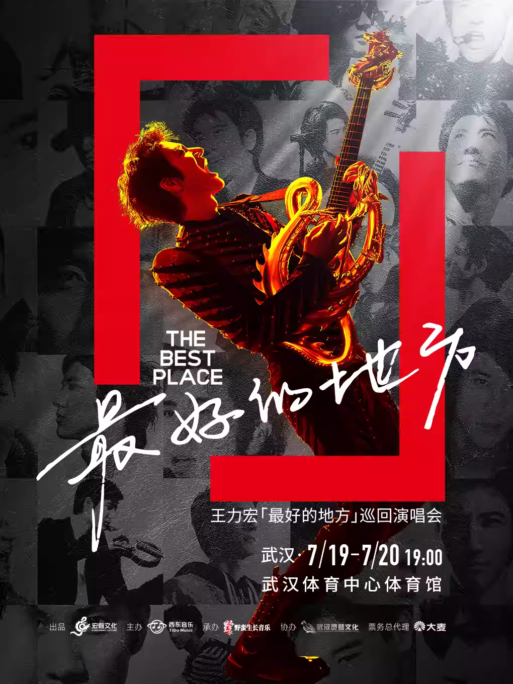 [代拍费/强实名]王力宏演唱会武汉站