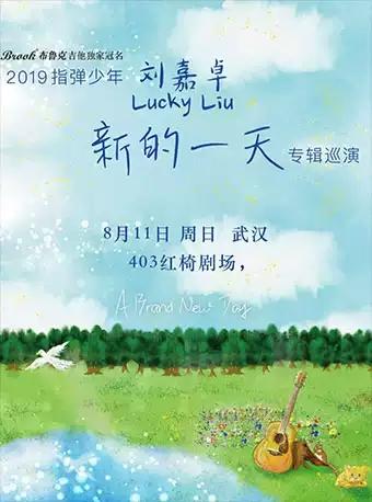 指弹少年刘嘉卓2019《新的一天》专辑巡演-武汉站