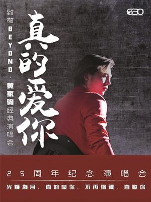 真的爱你—致敬BEYOND·黄家驹25周年纪念演唱会