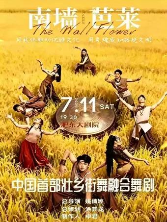 街舞融合舞剧《南墙芭莱》合肥站