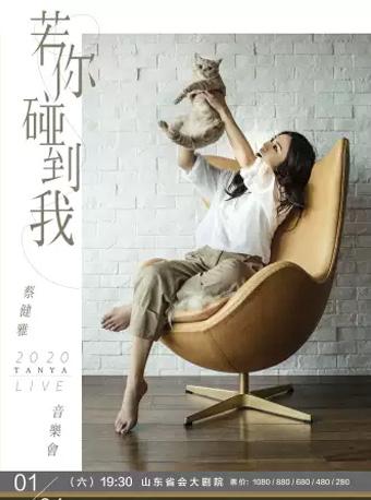 蔡健雅Live音乐会 济南站