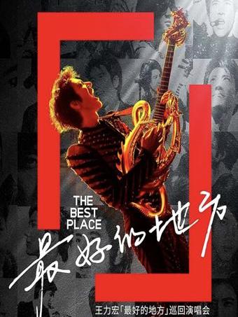 [代拍费]王力宏演唱会天津站