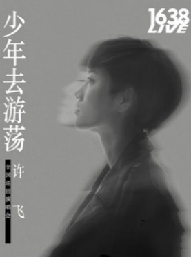 少年去游荡—许飞全国巡回演唱会