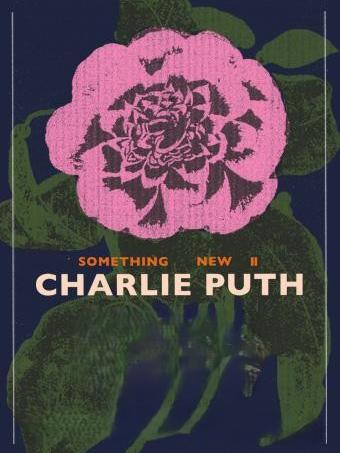 断眉-查理&middot;普斯演唱会上海站