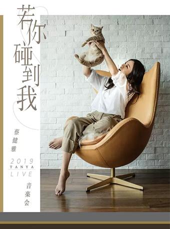 蔡健雅Live音乐会 南京站