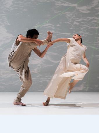 云门舞集 林怀民双舞作《白水》《微尘》