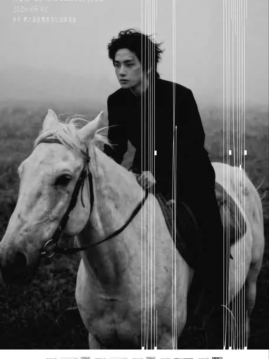 [抢先购价保]周震南演唱会南京站