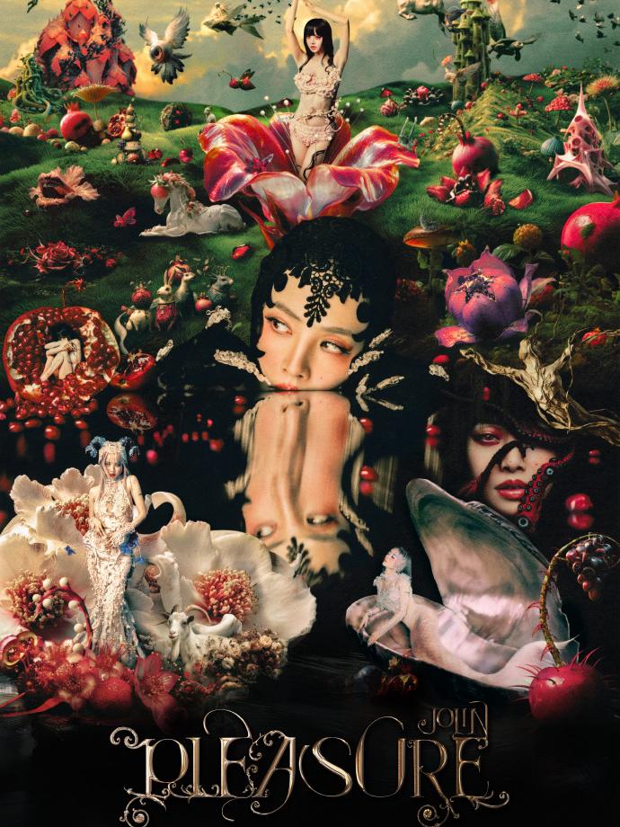 [强实名/代拍费]蔡依林演唱会厦门站