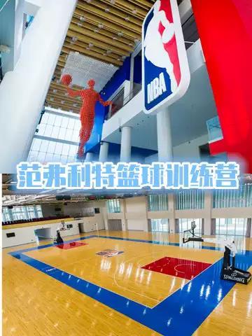 范弗利特篮球训练营