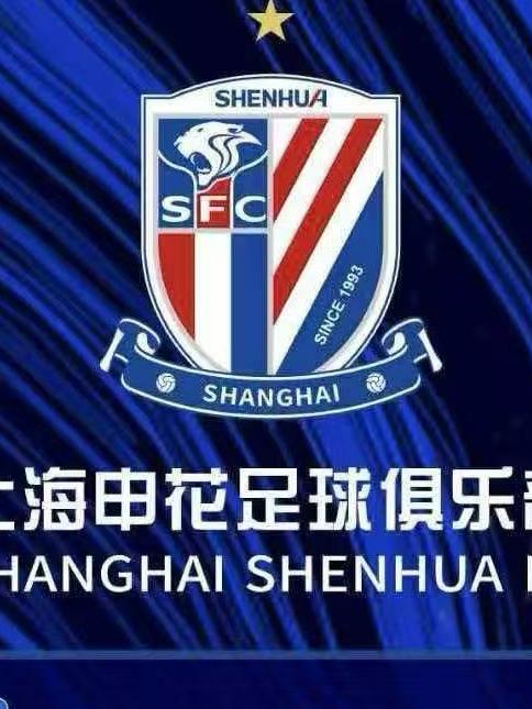 [上海]上海申花VS北京国安（主队/客队请按对应票档购买）