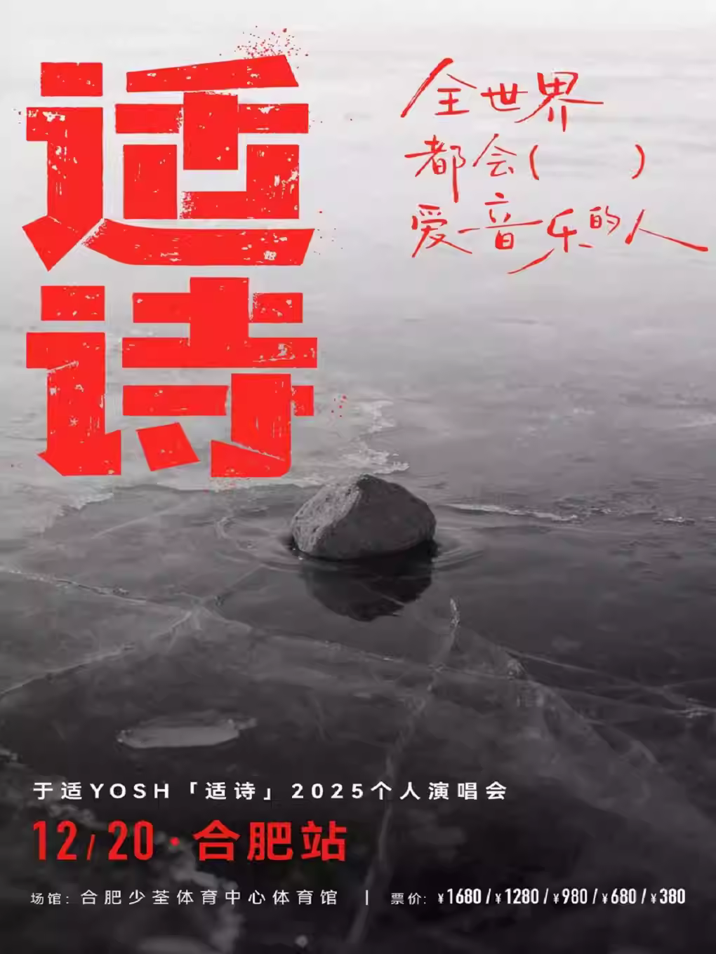 于适演唱会合肥站