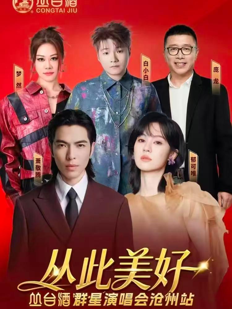 丛此美好群星演唱会沧州站