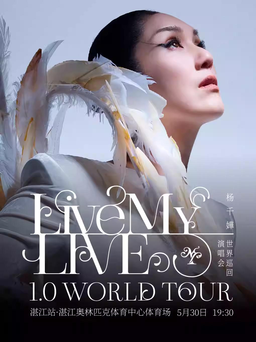 杨千嬅演唱会湛江站