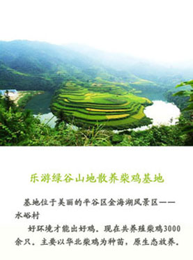 乐游绿谷&mdash;鸡蛋宅配年卡