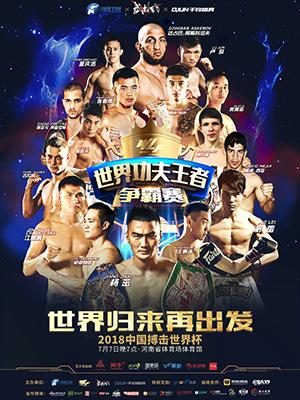 WLF世界功夫王者争霸赛·郑州站