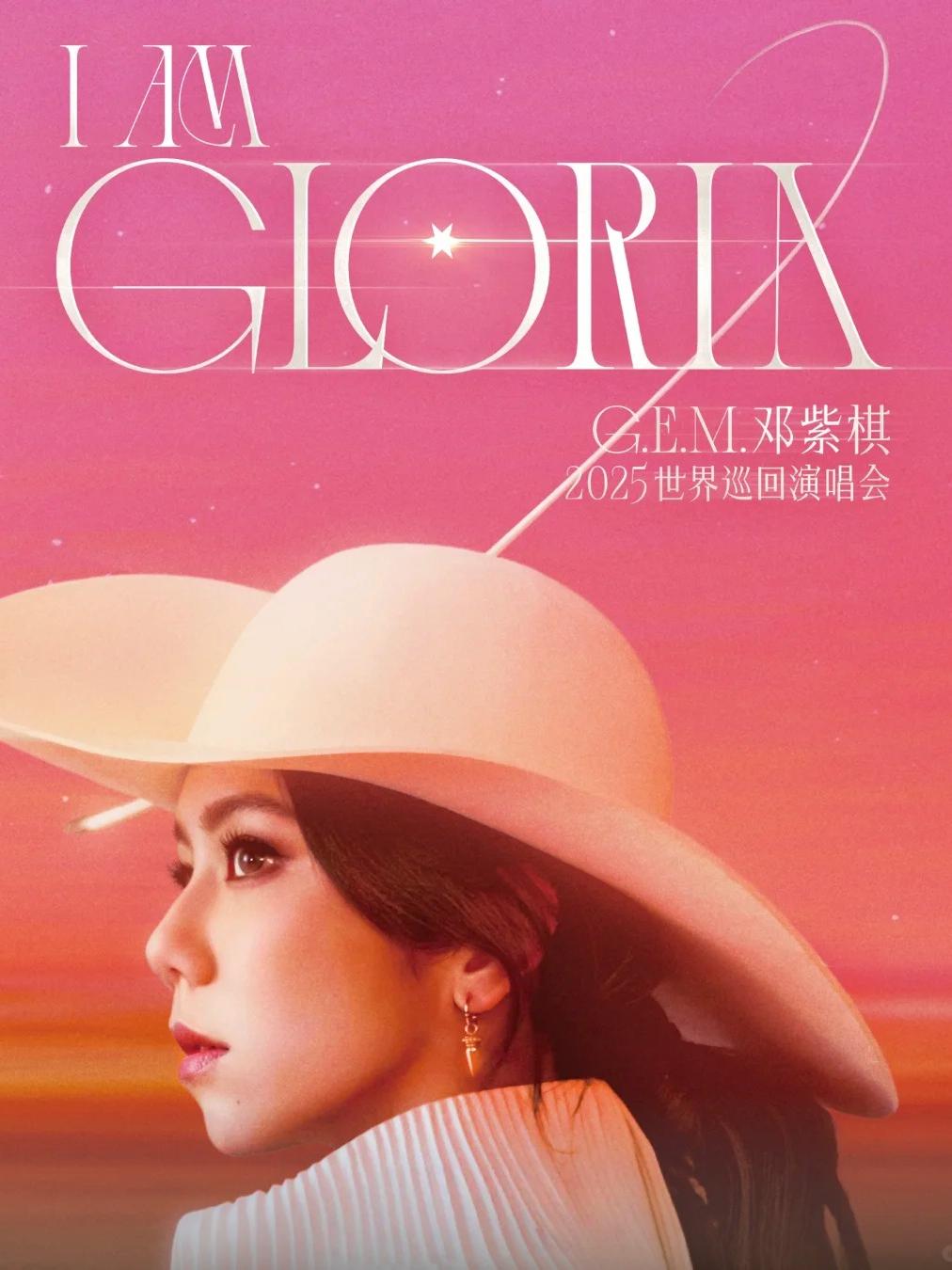 [代拍费]邓紫棋演唱会深圳站