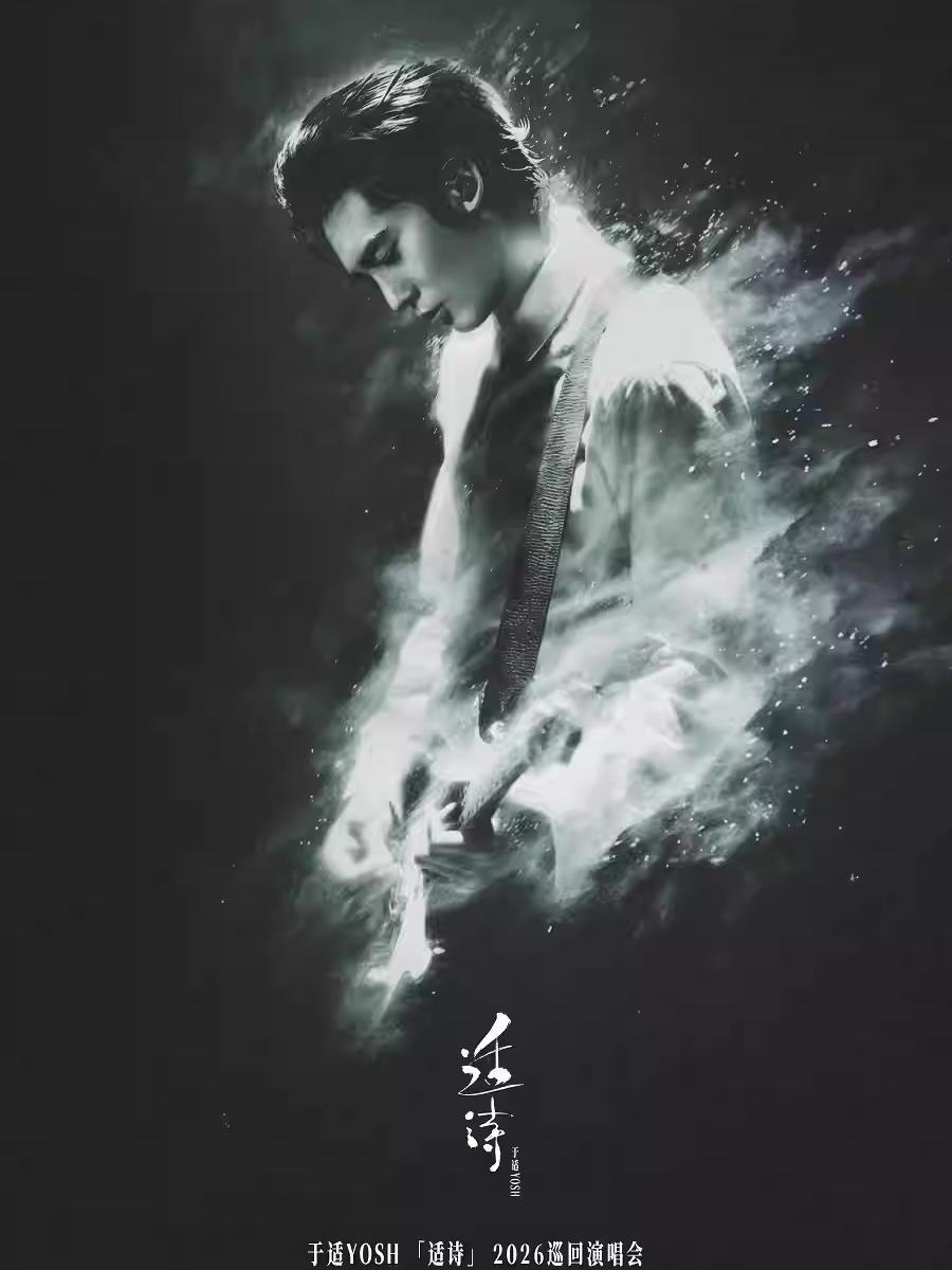 [代拍费]于适演唱会上海站