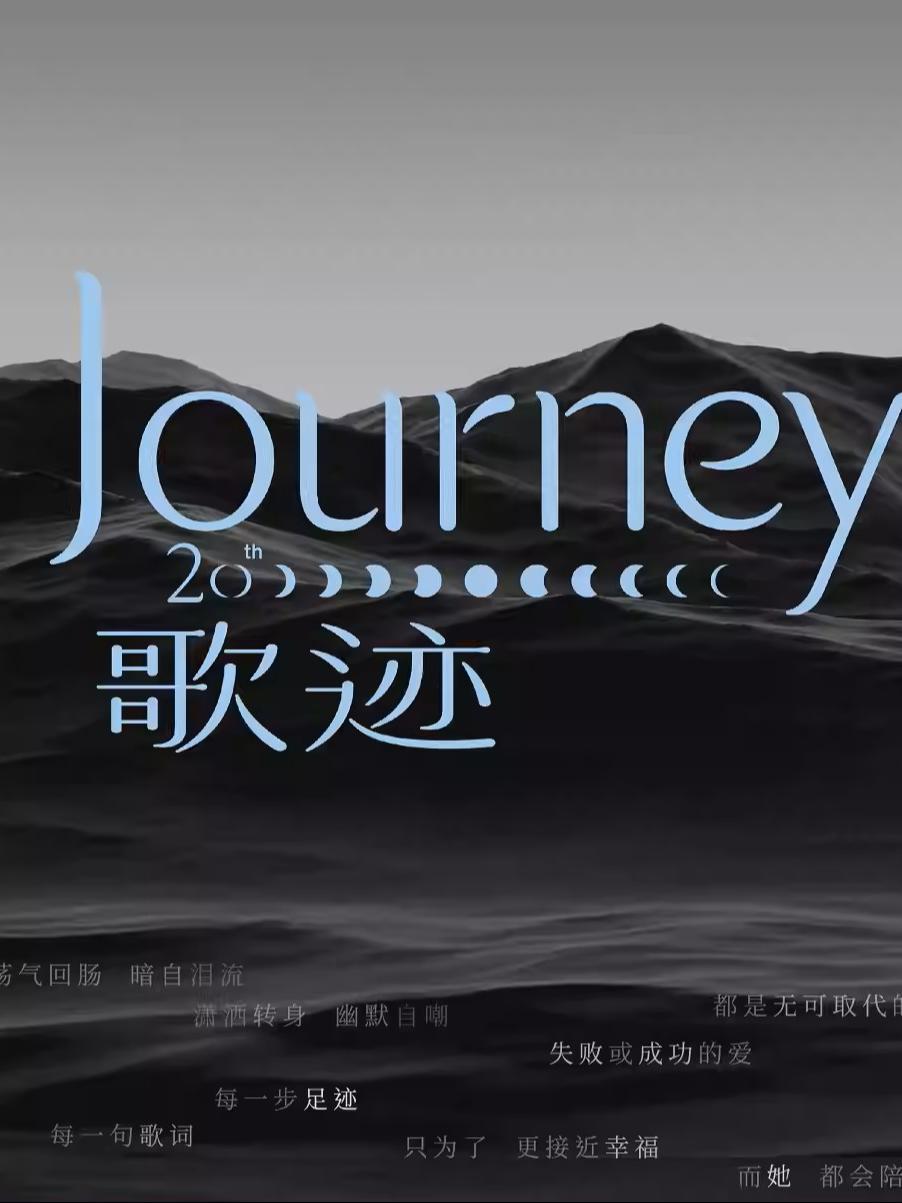 [代拍费]黄丽玲演唱会大连站