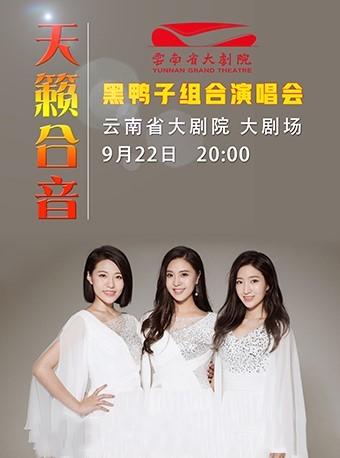 ”花好月圆” 黑鸭子2018演唱会