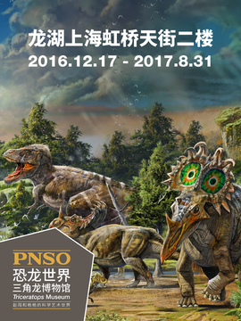 PNSO恐龙世界三角龙博物馆