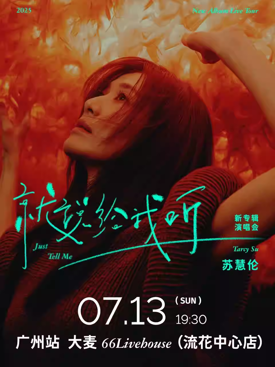 苏慧伦演唱会广州站