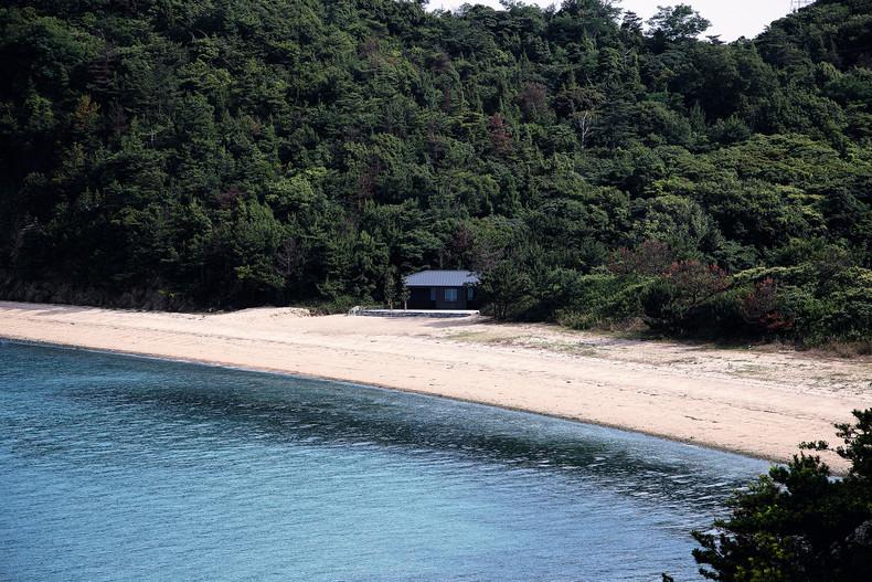 心跳档案馆,日本丰岛,2010年