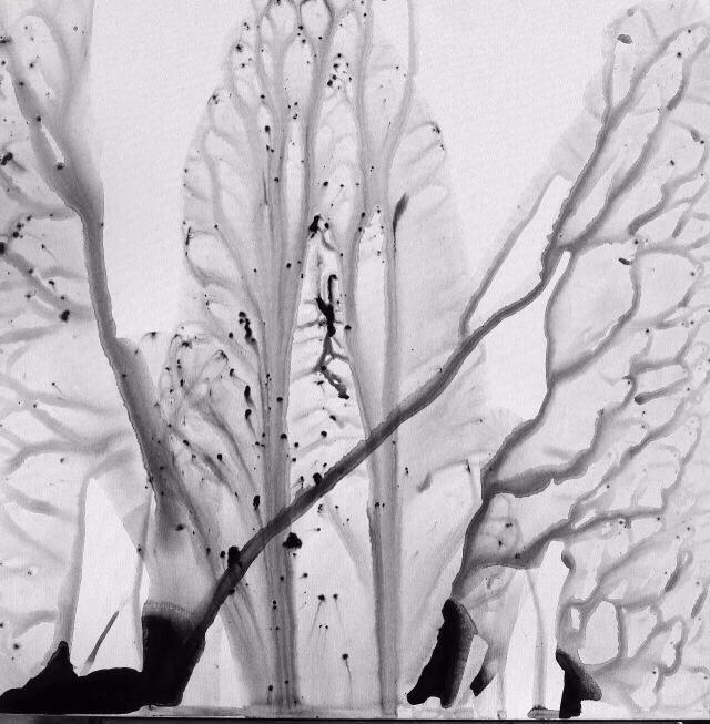 【尘境】100x100cm 布面水墨 2013.jpeg