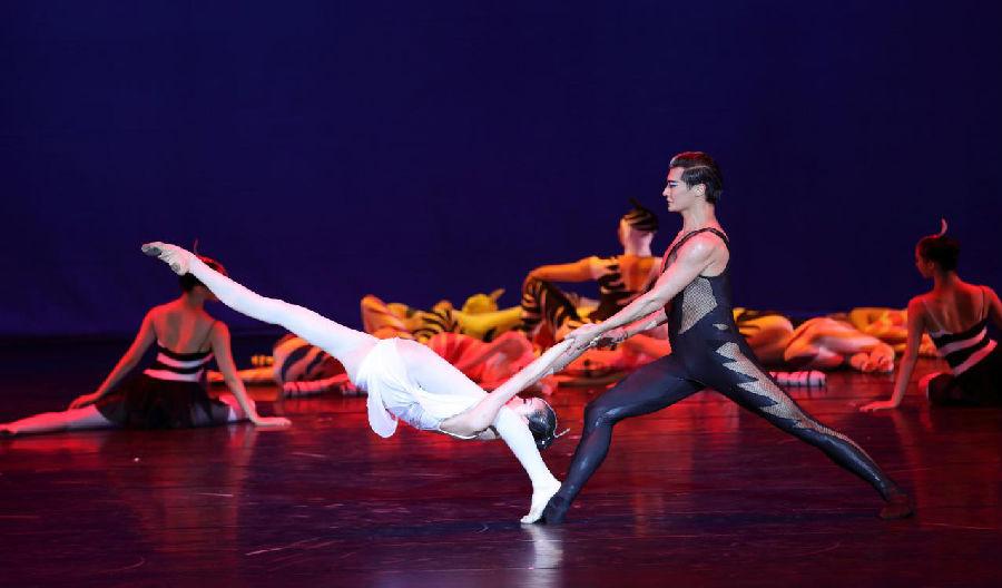 上海歌舞团舞剧《野斑马》