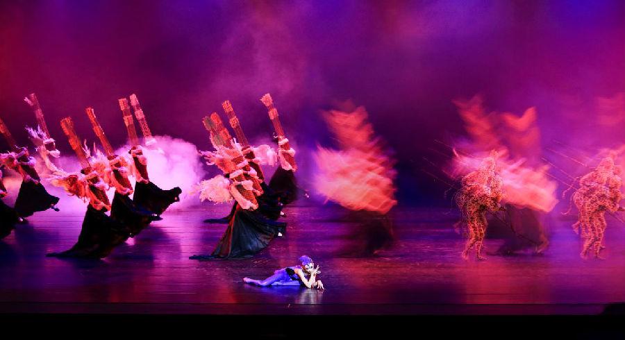 上海歌舞团舞剧《野斑马》