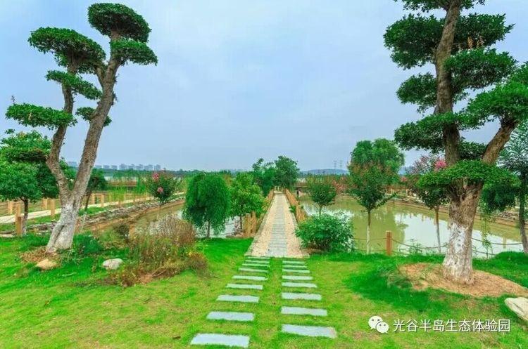 光谷半岛-亲亲乐园「武汉」_门票预订