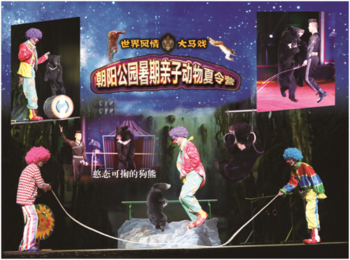 世界风情大马戏“朝阳公园暑期亲子动物夏令营”