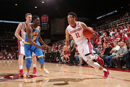 NCAA常规赛暨Pac-12联盟中国赛 NCAA常规赛暨Pac-12联盟中国赛