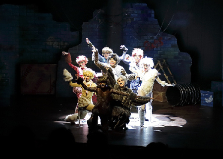 韩版经典亲子音乐剧《寻梦的猫》