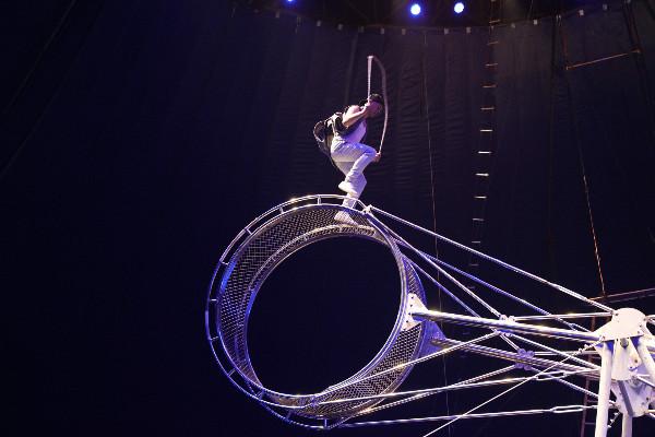 上海野生动物园看马戏就去上海野生动物园